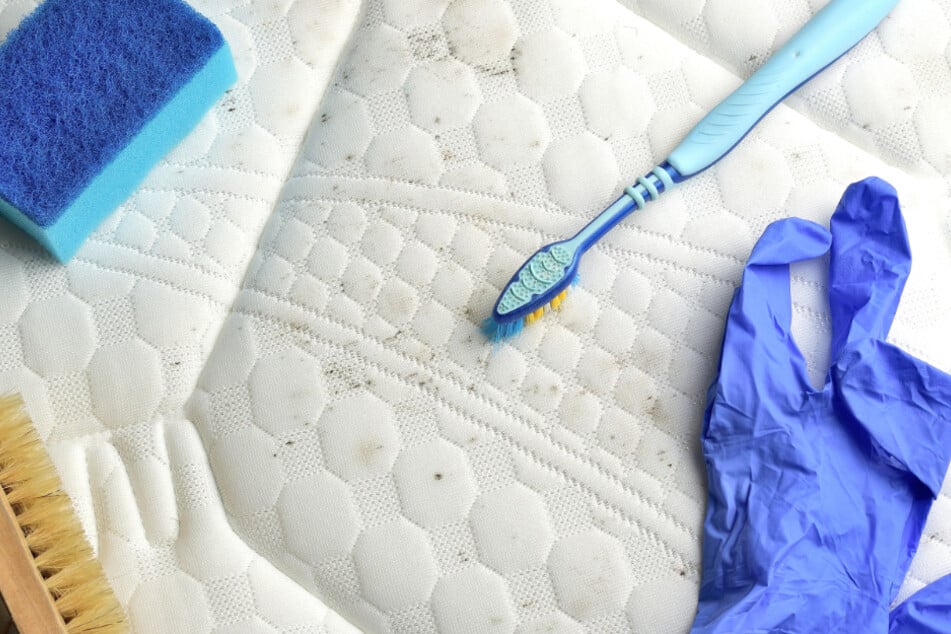 Mold stains are mostly superficial, which is why the stains can also be removed from non-washable textiles.