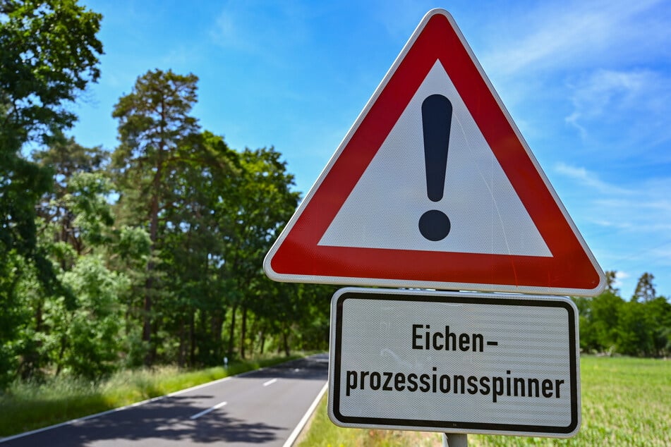 Einige Schilder im Südwesten weisen auf den Eichenprozessionsspinner hin.