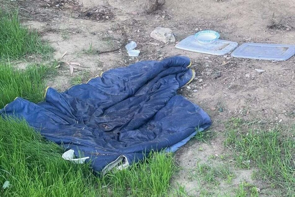 The dog was lying on this blanket right next to a highway.