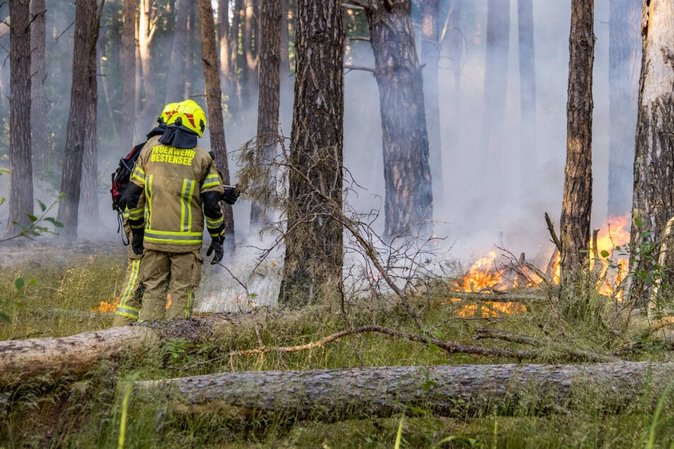 Rund 70 Feuerwehrleute waren vor Ort.