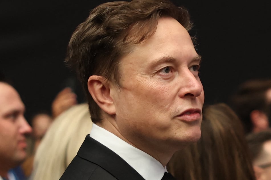 Elon Musk took aim at Netflix amid a right-wing firestorm over the streamer's diversity efforts.