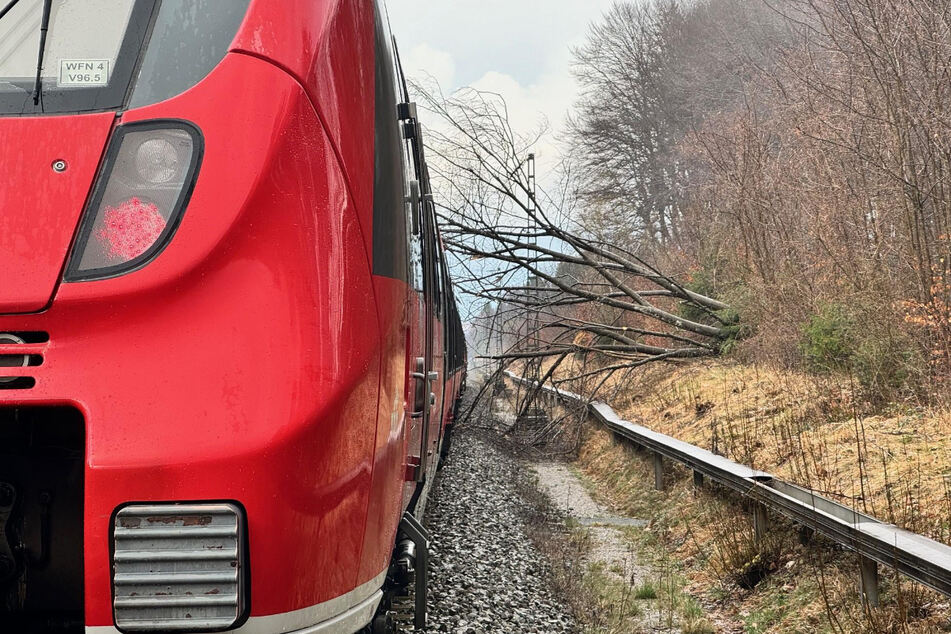 Ein Notfallmanager der Bahn erdete den vom Baum getroffenen Zug, damit dieser in den Bahnhof zurückgezogen werden konnte.