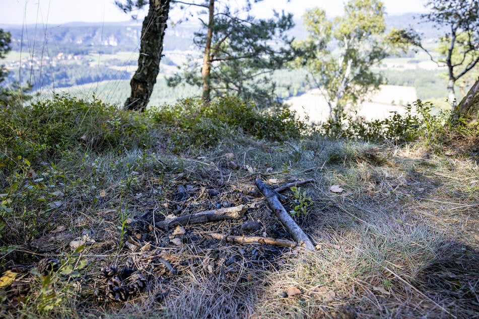 Nach dem Lagerfeuer am Lilienstein hat die Nationalparkverwaltung Anzeige gegen Unbekannt erstattet.