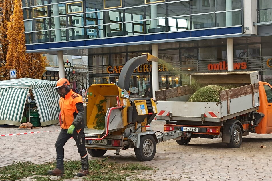 Äste und Fichten-Grün wurden geschreddert. Andere Zweige sind bald Weihnachtsdekoration für den Marktplatz.
