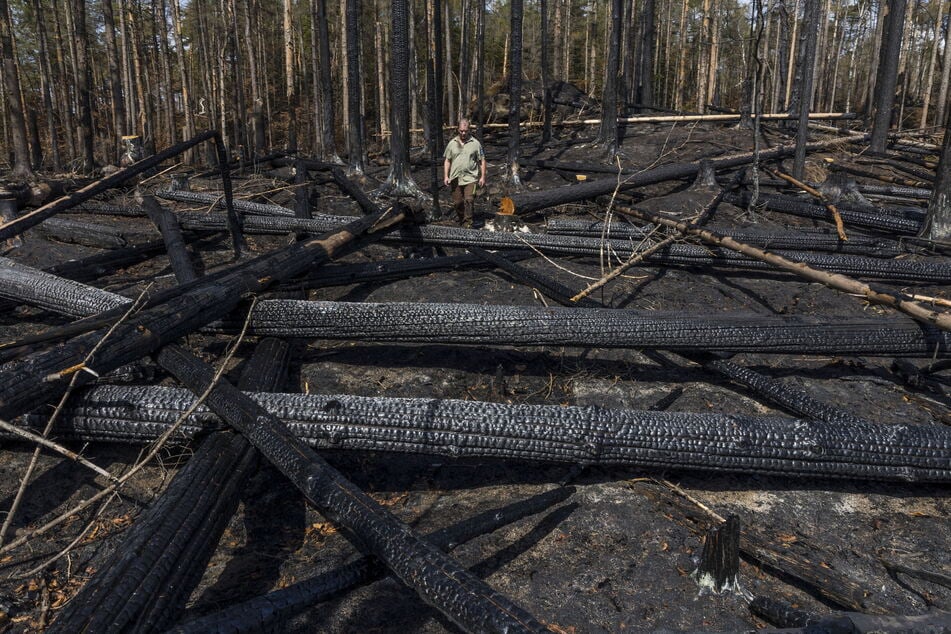Trockenheit und Borkenkäfer-Befall begünstigten im Juli 2022 den Ausbruch des grenzüberschreitenden Waldbrands.