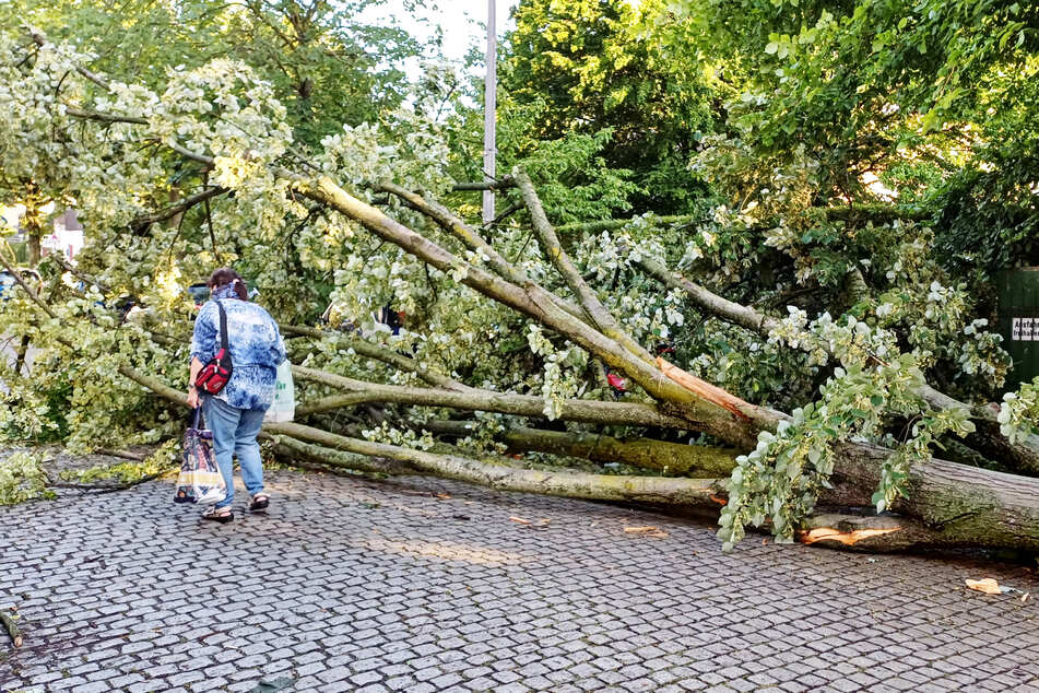 Berlin: Wieder Chaos und Schwerverletzte: Unwetter führt zu noch mehr Feuerwehr-Einsätzen