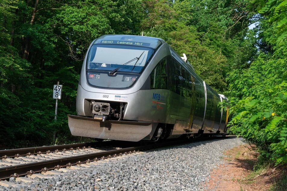 Der RB110 erfasste die Schafherde bei Westewitz. Eines der verendeten Tiere lag im Gebüsch nahe der Gleise.