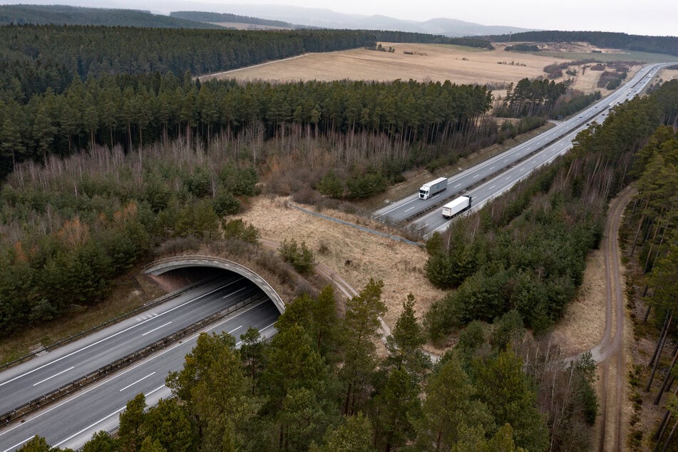 Laut Polizeiangaben wurden die Steine von einer Wildwechselbrücke auf die Autobahn geworfen. (Symbolfoto)