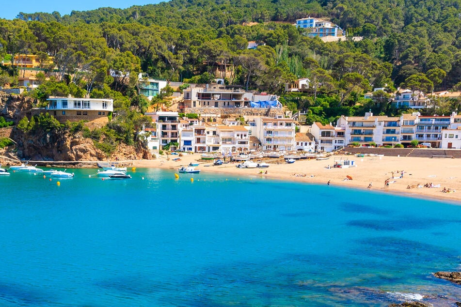 Auf der spanischen Insel Mallorca zogen sich 43 Besucher eines Sushi-Restaurants Salmonellen zu. (Symbolbild)