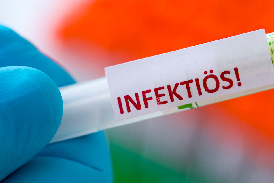 Proben für Corona-Tests werden in einem Diagnostik-Labor für die weitere Untersuchung vorbereitet.