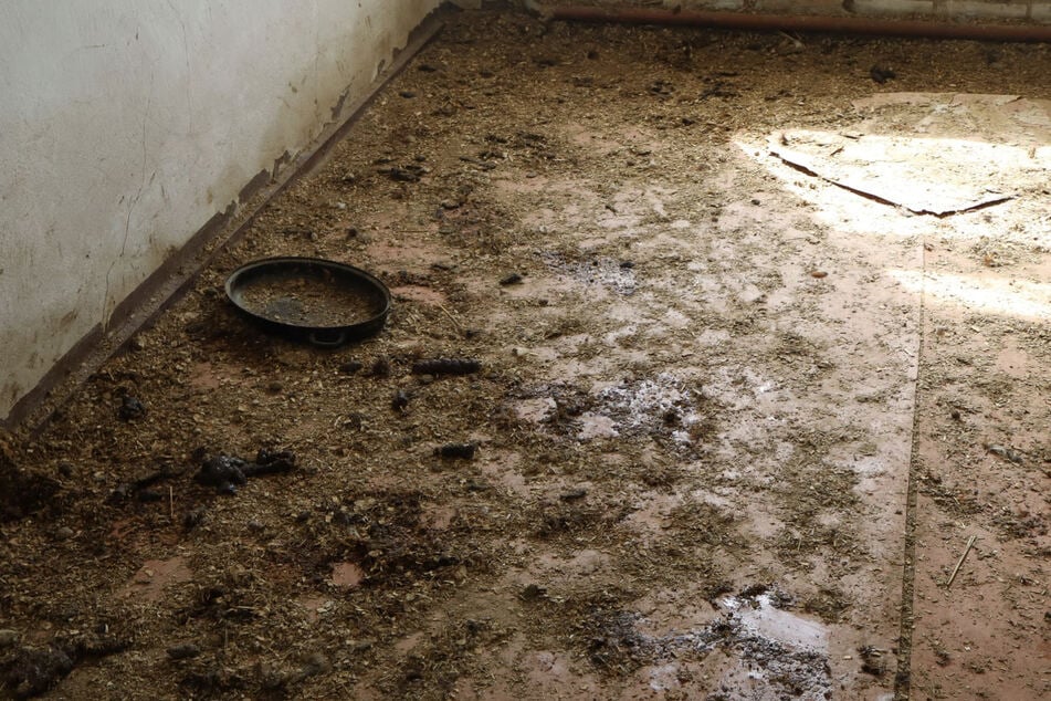 Die Räume waren komplett verdreckt.