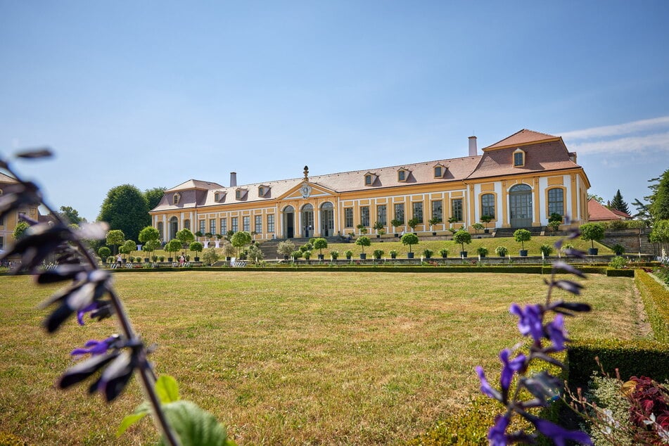 Am heutigen Sonntag gibt es eine besondere Führung im Barockgarten Großsedlitz.