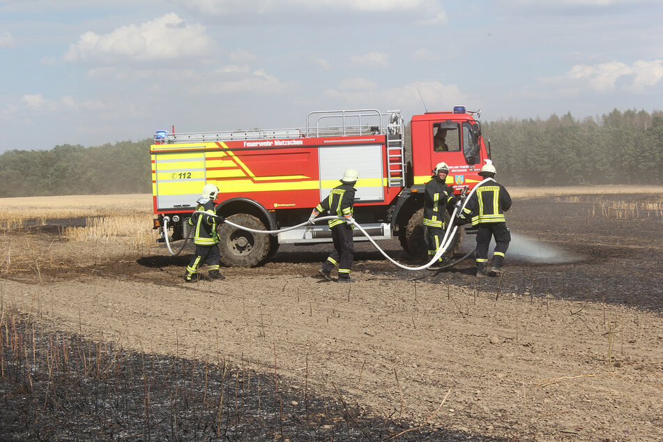 Die Feuerwehrleute hatten am Freitag viel zu tun.
