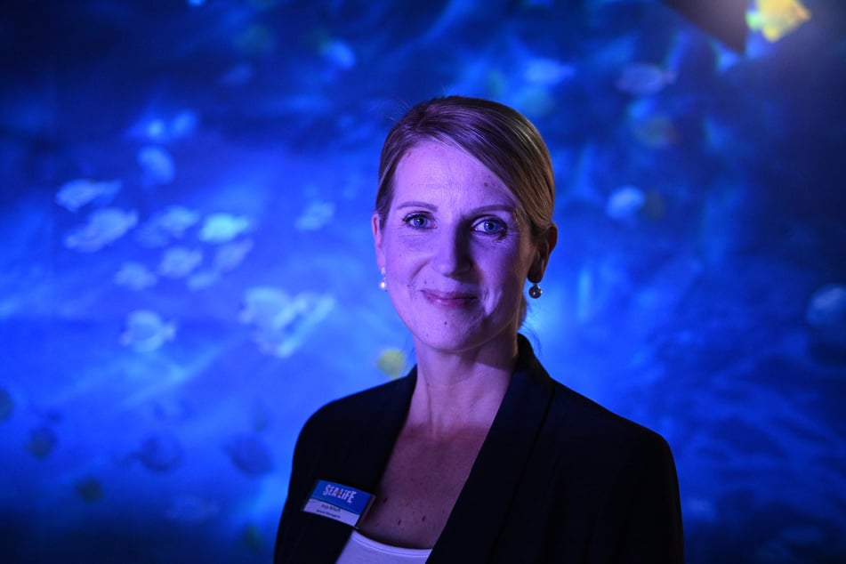 Anja Nitsch ist General-Managerin des "Sea Life" Berlin.