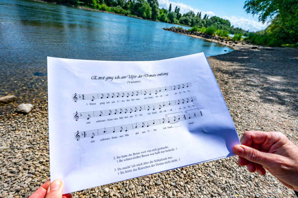 Ein Notenblatt mit dem Liedtext "Einst ging ich am Ufer der Donau entlang": In dem Lied wird die Vergewaltigung eines schlafenden Mädchens beschrieben.
