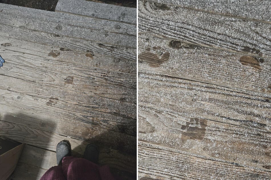 Eine Frau aus dem US-Bundesstaat Oregon fand am frühen Morgen seltsame Fußspuren auf ihrer Veranda.