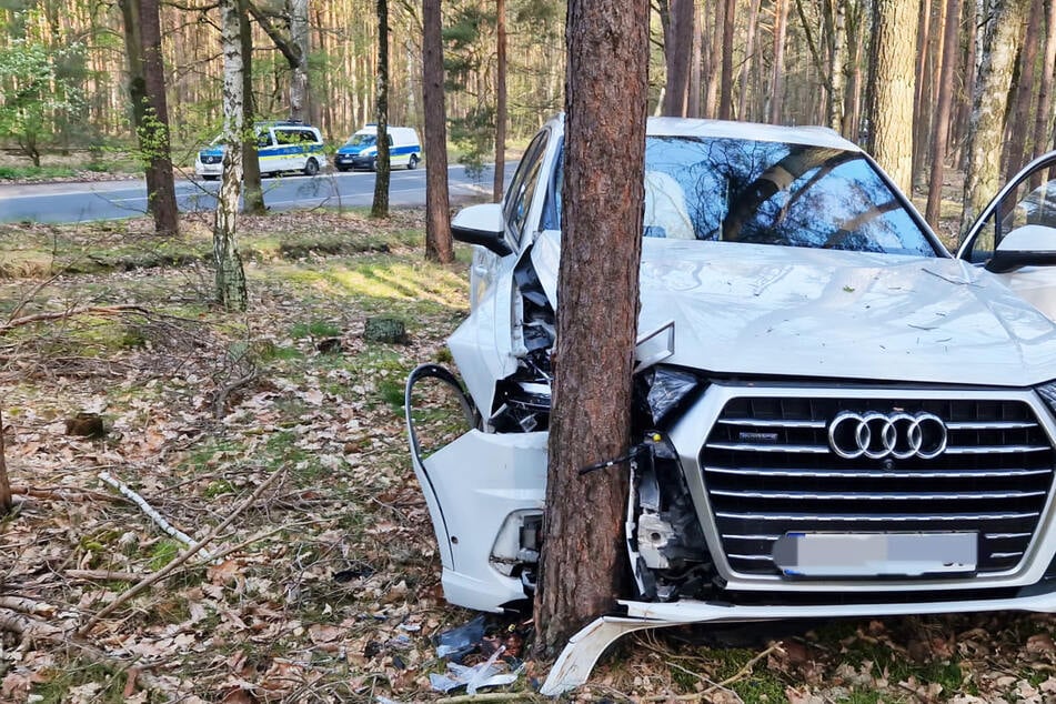 Die Verfolgungsjagd mit der Polizei endete für einen Audi-Fahrer in Brandenburg an einem Baum.