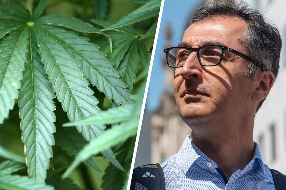 Legalisieren Grüne, FDP und SPD Cannabis? Darum ist Cem Özdemir dafür!