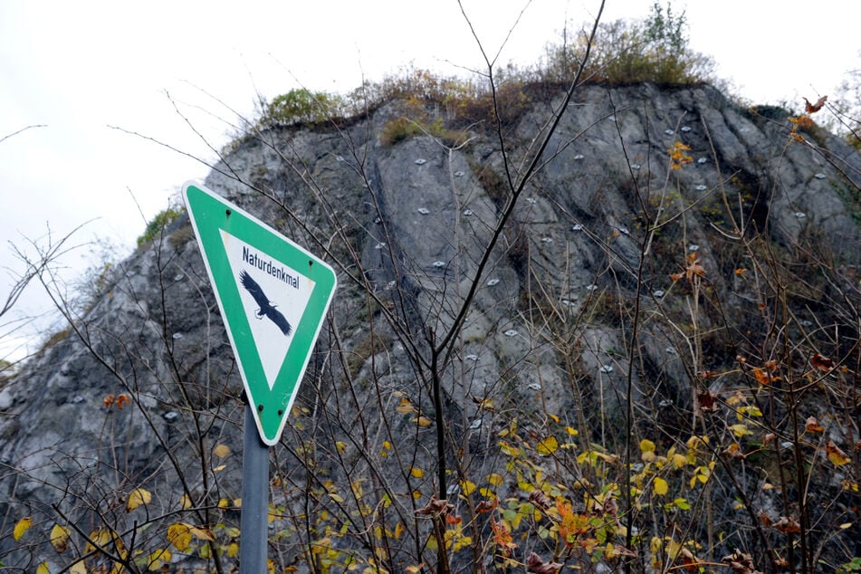 Der Kalkberg in Bad Segeberg dient nicht nur als Kulisse der Karl-May-Spiele auf der Freilichtbühne. Dort überwintern etwa 30.000 Fledermäuse. (Archivbild)