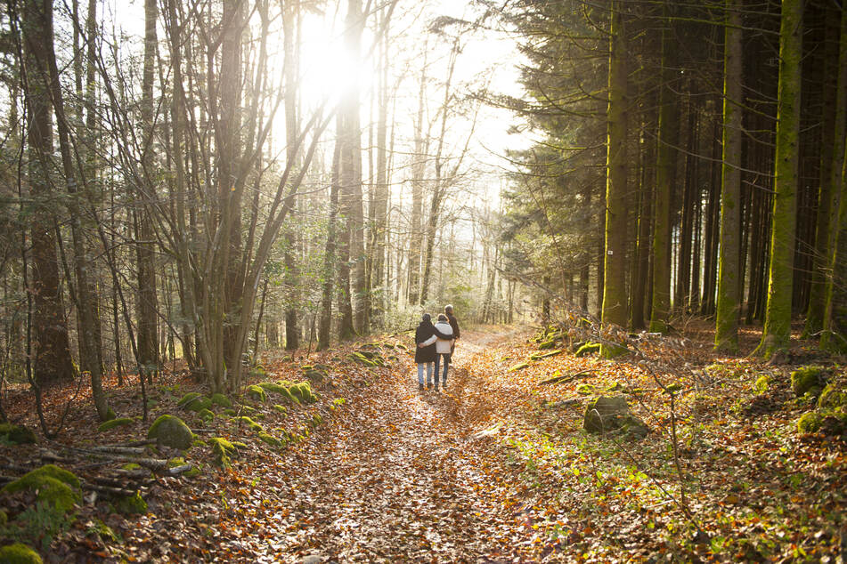 Spaziergänge mit der Familie sind weiterhin erlaubt - Sonne und frische Luft tun Körper und Seele gut. (Symbolfoto)