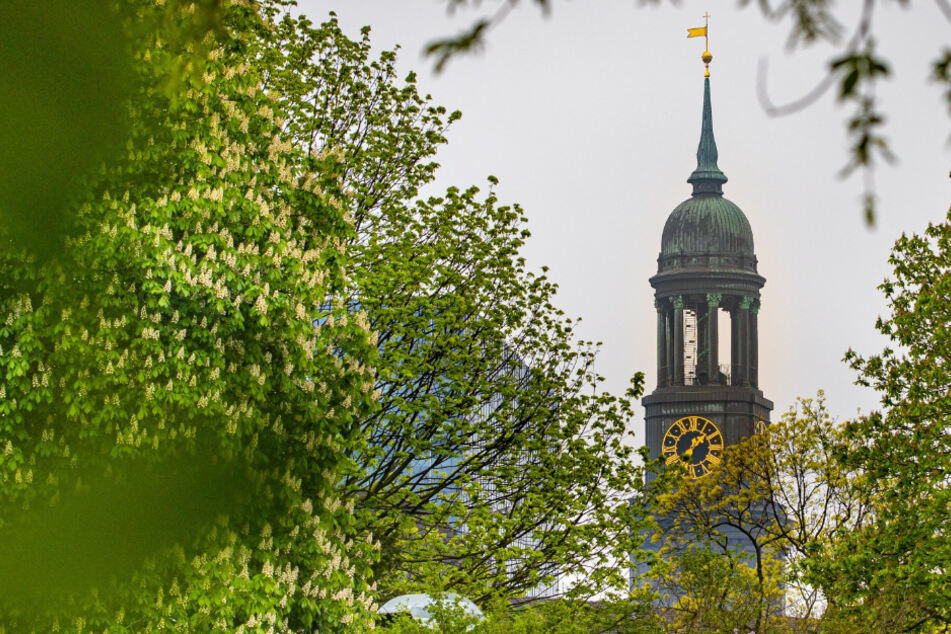Der Hamburger Michel ist vom Park "Planten un Blomen" aus zu sehen.