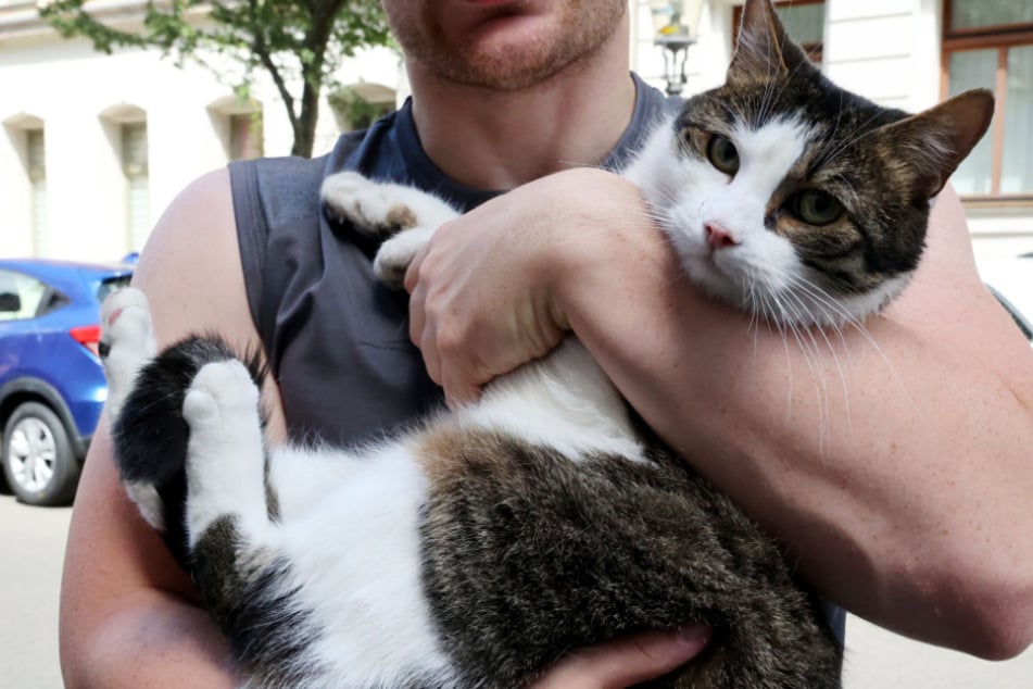 Unversehrt konnte Kater Conan an seinen Besitzer übergeben werden.