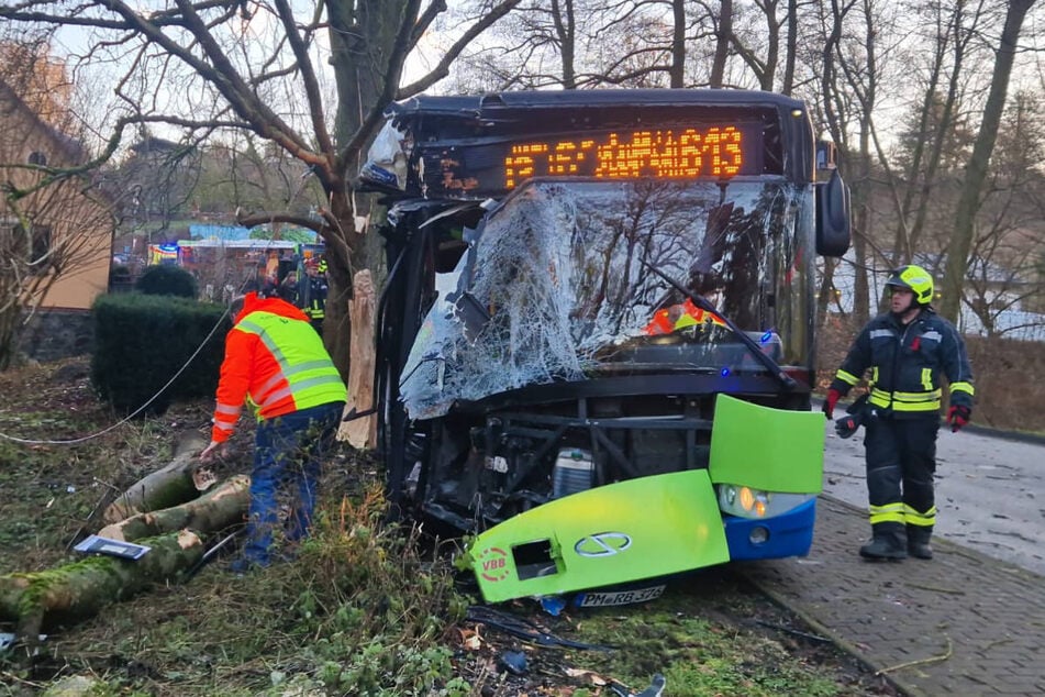 Die Front des Busses ist bei dem Zusammenstoß mit einem Baum total zerstört worden.