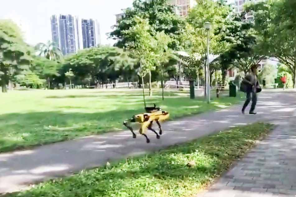Der schwarz/gelbe Hunde-Roboter läuft in einem Park Patrouille.