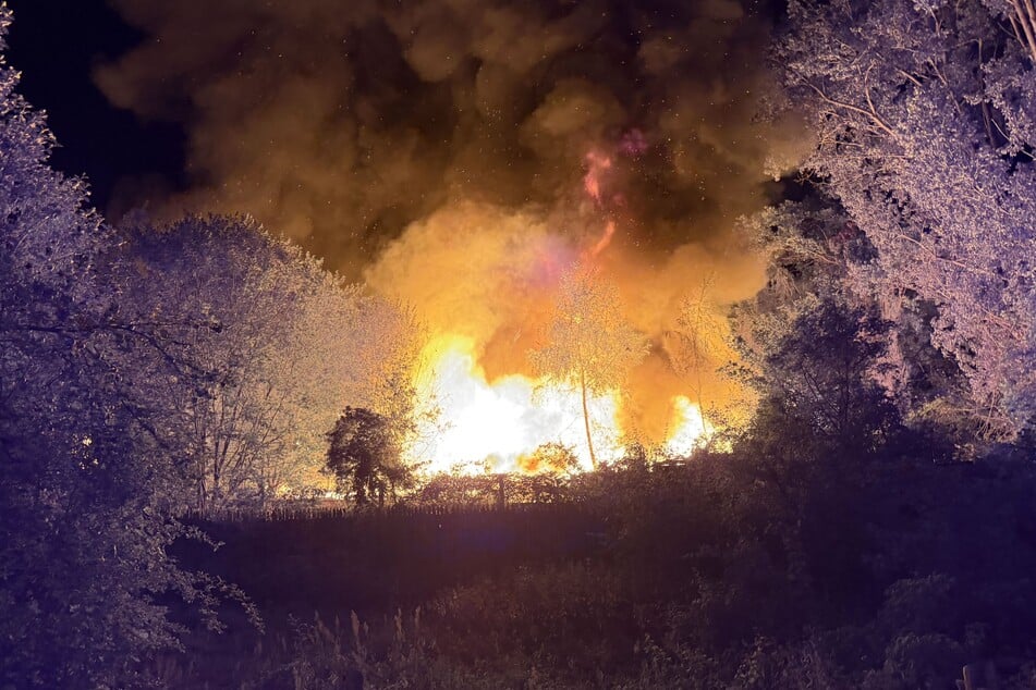 Von einer alten Westernstadt breiteten sich die Flammen in den Wald aus.