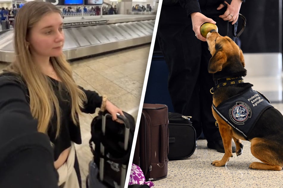700 euros pour une pomme ? Une tiktokeuse commet une erreur fatale à l'aéroport