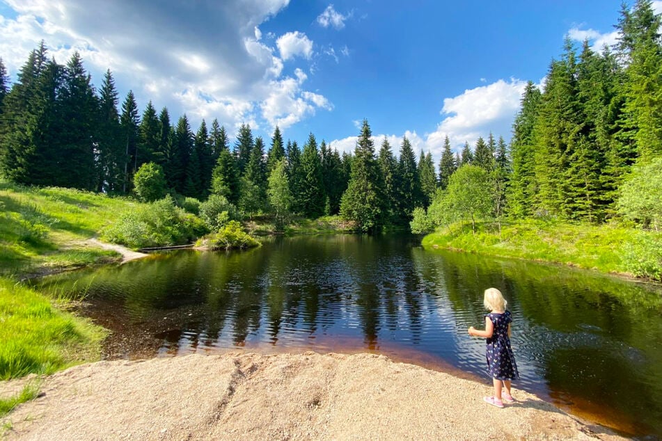Erlebt vom 9.11. bis 2.12.2026 die echten "Herr der Ringe"-Drehorte, Gletscher, Nationalparks und Abenteuer.