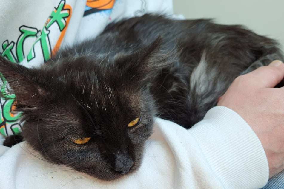 ... i obecnie wszystko wygląda dobrze dla małego!