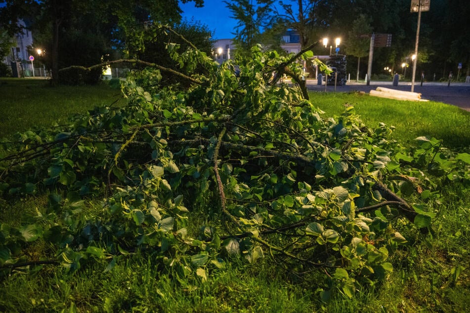 ... und dicke Äste abgebrochen worden. Zudem soll ein Trampolin mehr als 200 Meter durch die Luft geschleudert worden sein.