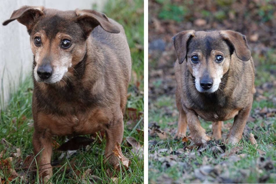 ... lässt sich davon allerdings nicht die Lebensfreude rauben.