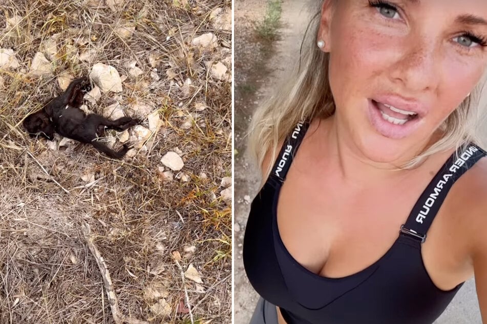 Evelyn Burdecki (35) fand am Ende ihrer Joggingrunde eine tote Katze.