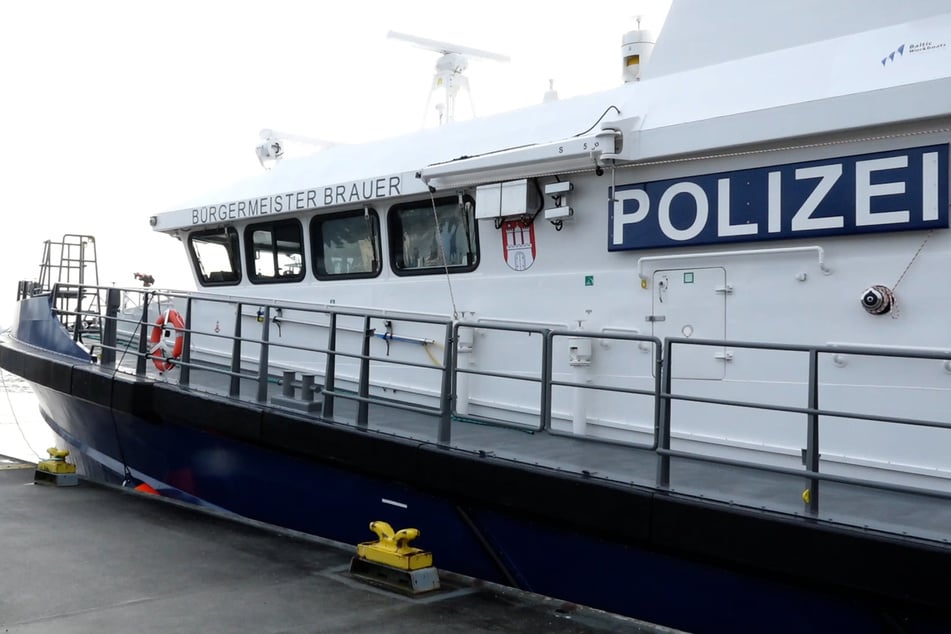 Eine Barkasse prallte am Terminal Tollerort gegen ein festgemachtes Containerschiff. (Archivfoto)
