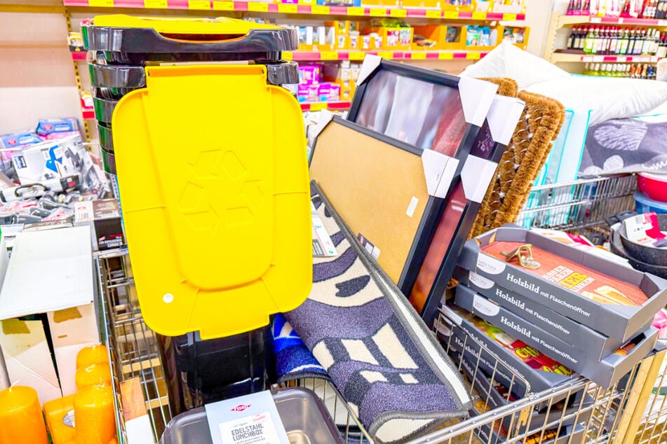 Ab Montag (2.2.) gibt's bei NORMA diese Highlights zum kleinen Preis