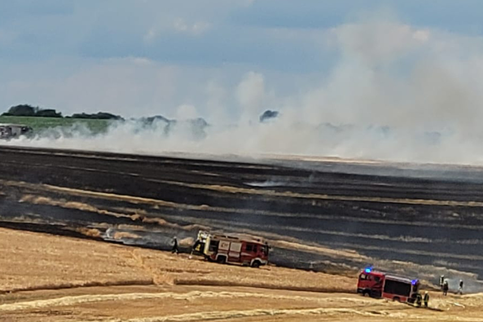 Nahe der Wallfahrtskapelle Etzelsbach im Landkreis Eichsfeld brannte ein Getreidefeld. Etwa zehn Hektar waren den Angaben zufolge betroffen.