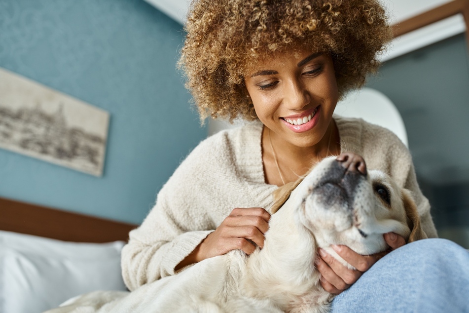 Bestimmte Strategien helfen, die Geräuschangst bei Hunden zu bewältigen.