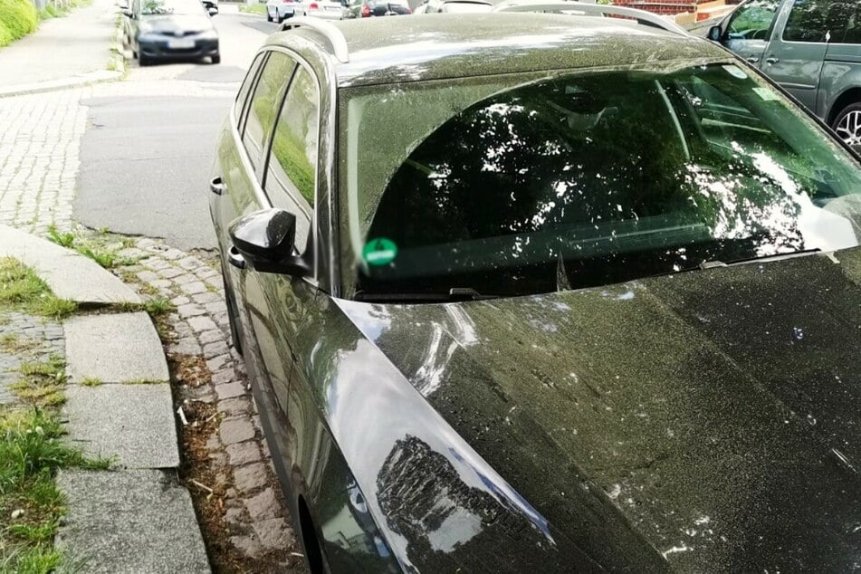 Auch Autos sind überzogen mit einem Pollenfilm.