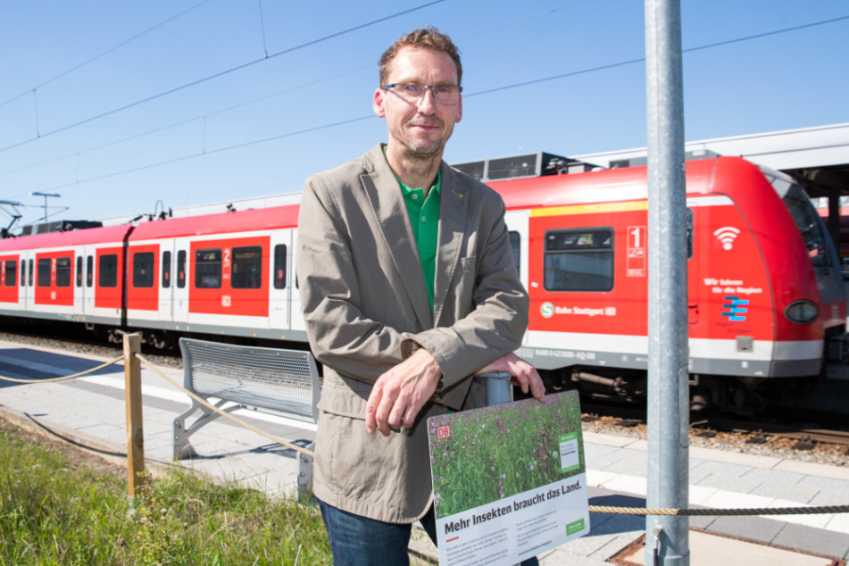 Der Bahnhofsmanager Nikolaus Hebding steht auf der "Schmetterlingswiese" im Renninger Bahnhof.