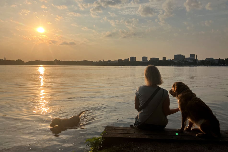 In den vergangenen Tagen zeigt sich das Wetter in Hamburg ungewohnt heiß und trocken für Anfang September.