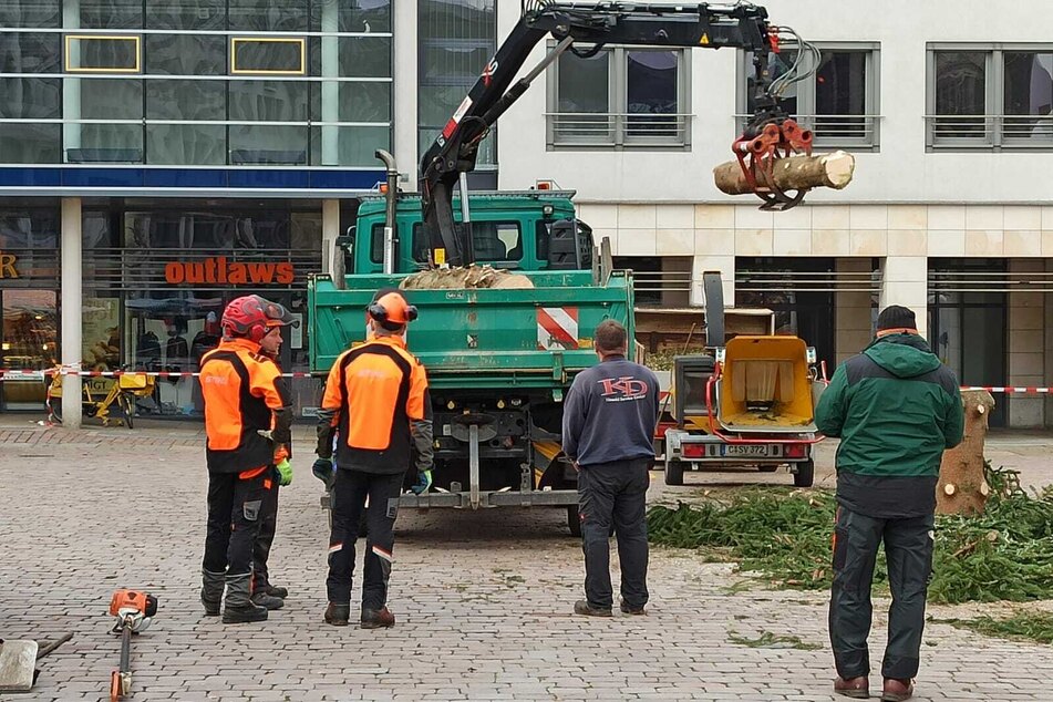 Der Baum wurde stückweise abgetragen und wegtransportiert.