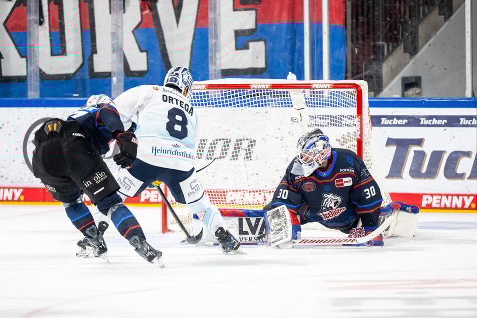 Austin Ortegas (Nr. 8) scheiterte hier am gut aufgelegten Tigers-Goalie Evan Fitzpatrick (r.).
