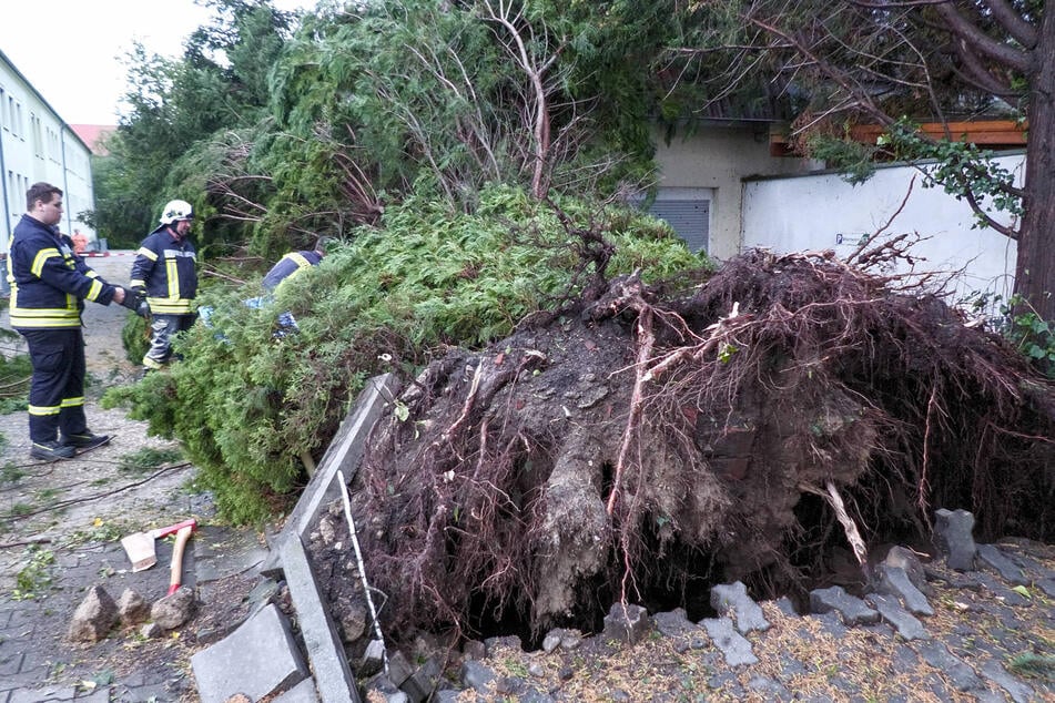 Ein orkanartiges Unwetter verwüstete im Juni Gröditz im Kreis Meißen. Einen Tornado registrierte der DWD aber nicht.