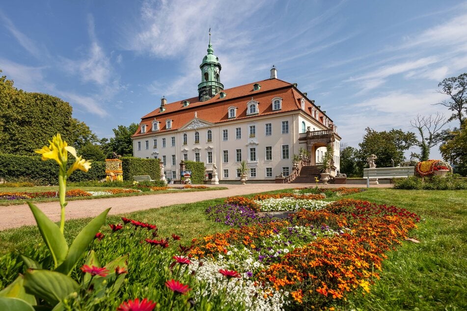 Das Schloss Lichtenwalde liegt direkt am Naturschutzgebiet.