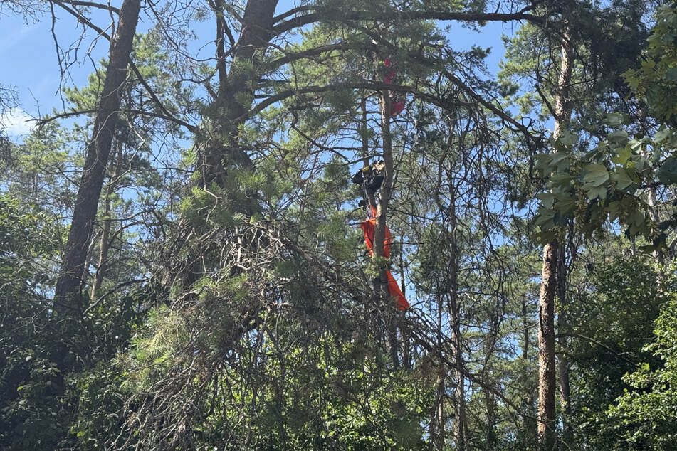 Die Bergung des Mannes aus dem Baum stellte die Einsatzkräfte vor eine Herausforderung.