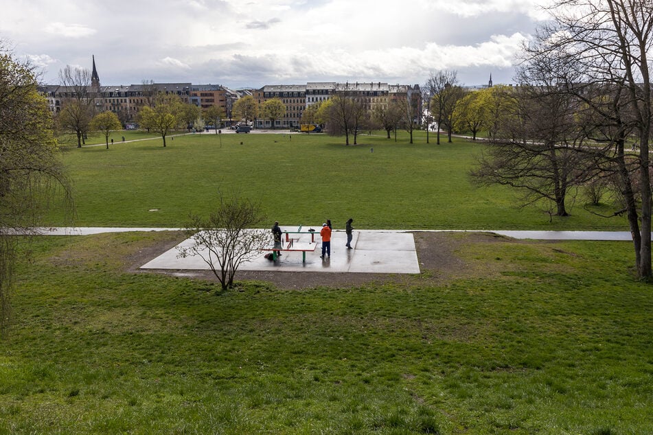 Auch Grünanlagen in der Stadt wie der Alaunpark kommen infrage, wenn die Anwohnerinteressen in Ausgleich gebracht werden können.