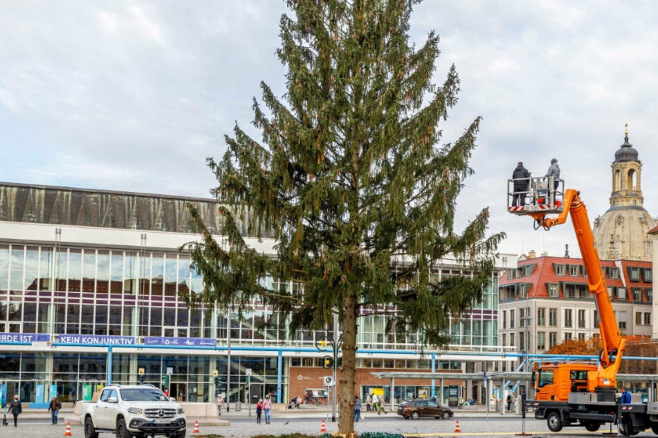 Striezelmarkt startet nicht vor dem zweiten Advent, doch die Stadt baut schonmal auf!