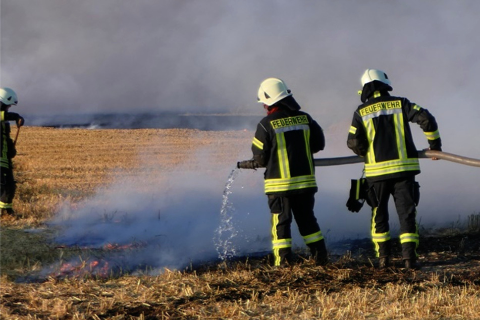 Feld in Flammen: So brenzlig ist derzeit die Lage in Sachsen